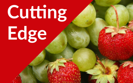 The Cutting Edge Podcast Episode #42: Day-Neutral Strawberries and Seedless Table Grapes (Winter Webinar Series)