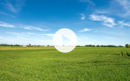 ▶ Watch: Wisconsin Ag Climate Outlook Oct. 23